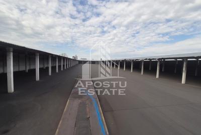 PLATFORMĂ INDUSTRIALĂ 3HA SILOZURI 50M ACCES CFR SÂNNICOLAU MARE - 5