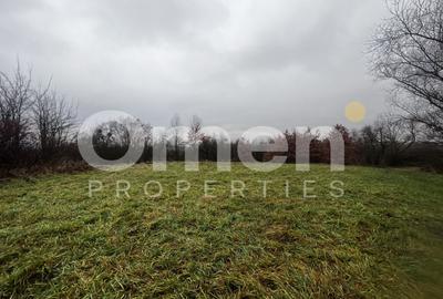 Teren intravilan | 30 ari | front stradal 50 m | investitie ideala | Mocira. - 1