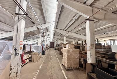 Hale industriale Teliu - 145000e  200.000e  450000e - 4