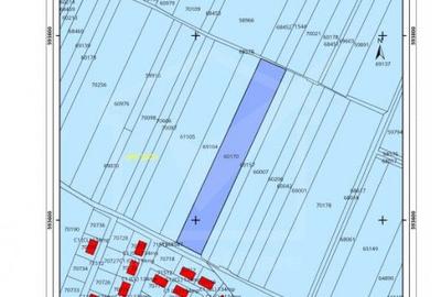 Vanzare Teren Extravilan, Jucu de mijloc, Oportunitare de Investitie - 1