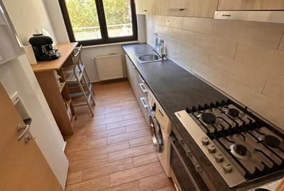 Herastrau Nordului. 3 camere mobilat - 6