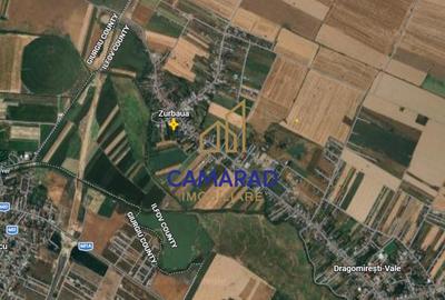 Teren intravilan 13.602 mp | Dragomiresti Vale | Sos. de Centura - 12