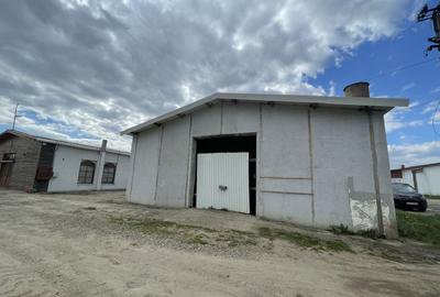 Hala Industrială / Agricolă | 800 MP Construcție + 800 MP Teren | - 6