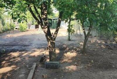 Casa cu 600mp de teren si 13m front stradal, toate utilitatile Brailita-Stadion - 10