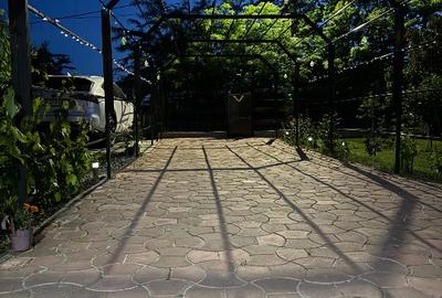 Vand casa cu teren in sat Prunaru,com Bujoreni,Jud Teleorman - 4