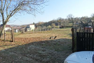De vanzare teren pentru constructie in Sanvasii - 5