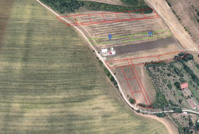 Vând 2 parcele teren 1050 mp – ideal pentru cabane – Rusciori, fără comision! - 1