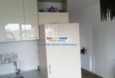 Apartament 2 camere Jiului complet mobilat si utilat s020 - 28