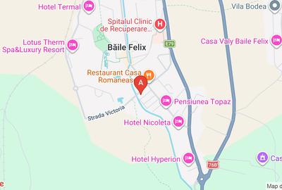 In BAILE FELIX,ultracentral,Restaurant  300locuri de vanzareimpreuna cu Pensiunc - 15