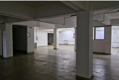 Republica showroom activitati multiple - 2