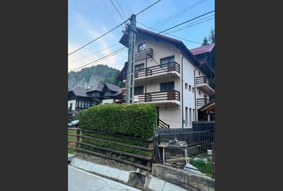 Holiday house/pension in Dâmbovicioara, Argeș - 10