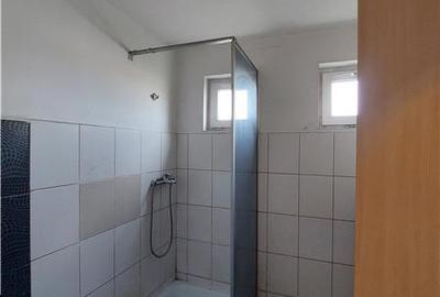 3 hale de inchiriat in Micalaca - 10