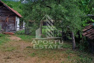 Casa batraneasca de vanzare, 4 camere, in Hunedoara, sat Micanesti - 38