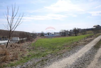 Teren 3,500mp Moara / Strada Pprincipala - 4