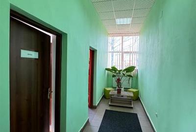 Vaslui aproape de Iasi, hale si birouri, inchiriere lunga durata - 22