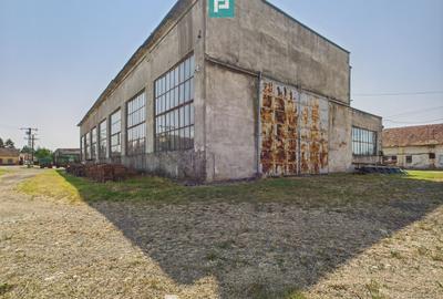 Hală pentru producție - 700 mp utili - 3