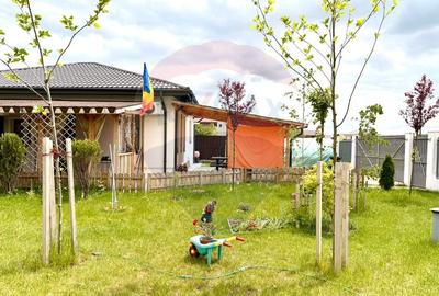 DE VANZARE Casa 3 camere/ teren 550 mp Cosoba / Giurgiu - 56