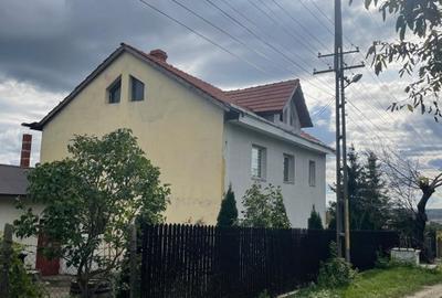 Casa 216mp cu vie si livada, 2500 mp teren – Horodistea, comuna Cotnari, Iasi - 5
