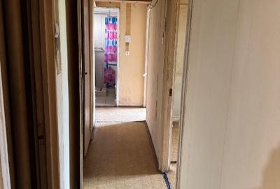 Apartament 4 camere vizavi de Parcul Plumbuita - 3