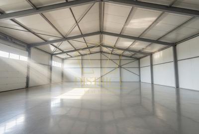 COM 0 | Hala industriala 466mp | Freidorf - 6
