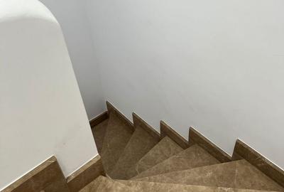 SUPER OCAZIE SE VIND 3 APRTAMENTE DE LUX IN VILA ZONA PARC CAROL COSBUC - 15