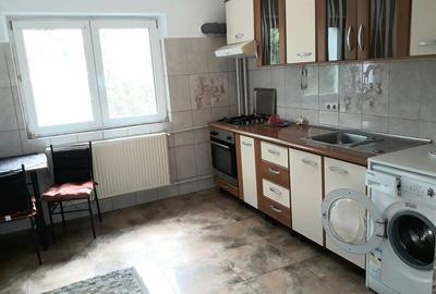 Colentina, Doamna Ghica, Parc Plumbuita, semistradal - 12