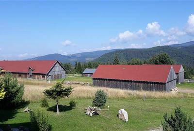 Casa din busteni cu ferma zootehnica si afacere (Tengheler, Com. Ditrau) - 24