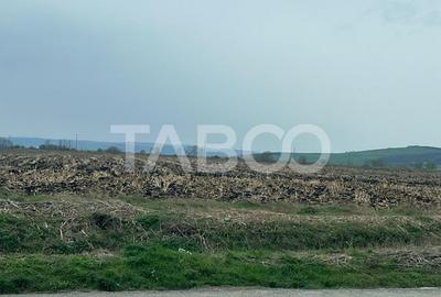 Teren intravilan de vanzare zona industriala nord 19100 mp front 51 m - 2