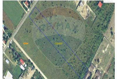 Domnesti- vanzare teren intravilan 10.000mp/ Soseaua Curtea Domneasca - 1
