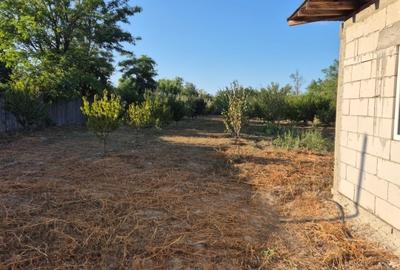Casă de vânzare în comuna Făcăeni, județul Ialomița – teren 2600 mp, casă nouă, - 16