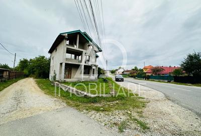 Vânzare vilă / pensiune situată în Comuna Baia de Fier - 4