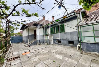 Casa individuala si garsoniere, 115mp utili+demisol (65mp), Terezian - 1