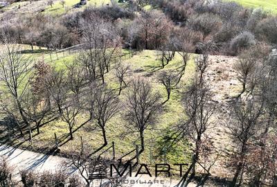 Teren Construcții intravilan de 1000 mp, în Calea Dumbrăvii