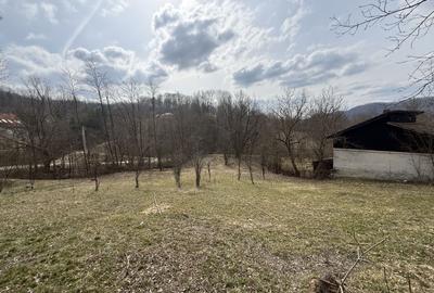 Teren intravilan la asfalt 2100 mp deschidere 21 mp la asfalt! - 1