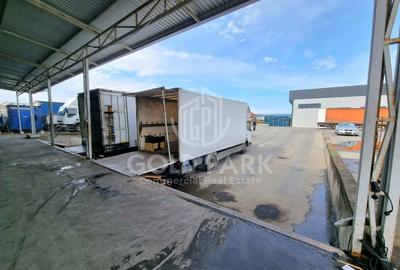 Hala/Depozit-Zona Autostrazii-Curte Betonata/Rampa-350-660-900 mp - 8