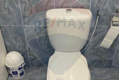 Casă / Vilă cu 5 camere de vânzare în zona Central - 45