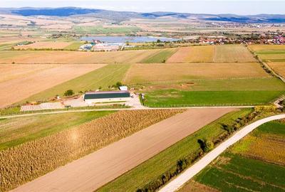FILM! Zona extinsa, teren mixt,18.000 mp, ideal agro-investitii, Rotbav, Brasov - 3