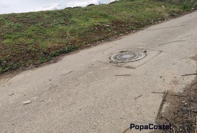 Sisesti str.Dirijorului (in capatul str.Al.Bratu) 1000 mp deschidere 18,27 ml - 2