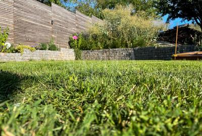 Casa 6 camere de vanzare in Gruia, Cluj Napoca - 14