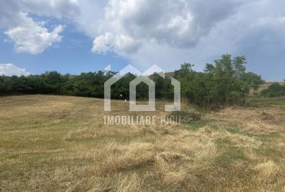 Teren Intravilan Constructrii 2258mp - Gadalin - 2