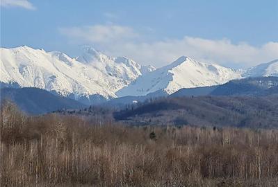 Teren intravilan 2500mp  pe Valea Avrigului,optim casa de vacanta - 7