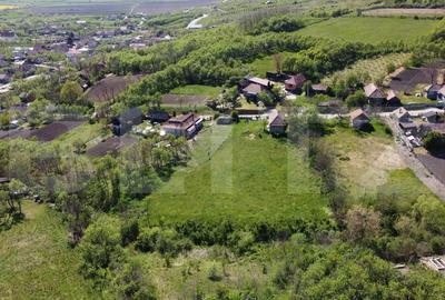 4700 mp teren intravilan - Rascruci - EXCLUSIVITATE - 3