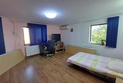 5 camere - 3 bai - 200 mp utili - teren 920 mp - Domnesti - Craitei - 12