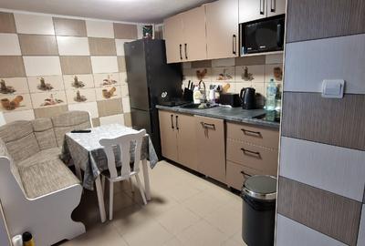 Casa de vacanta/locuit Arges - 11