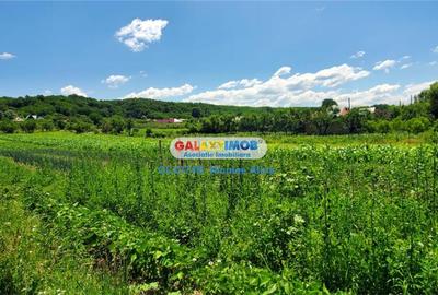 Teren intravilan comuna Bogati sat Birloi Jud. Arges - 7