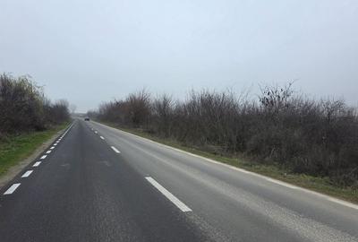 Teren 3000 mp dublu acces – vedere la Dunăre - 6