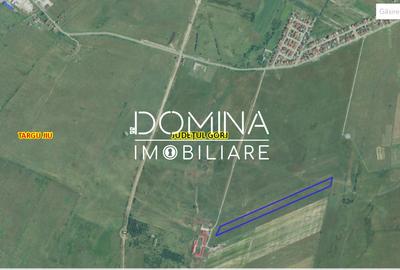 Vânzare teren extravilan 25.254 mp, situat în localitatea componentă Preajba - 4