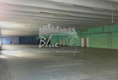 Spațiu Generos cu Terasă Circulabilă în Centru - 4