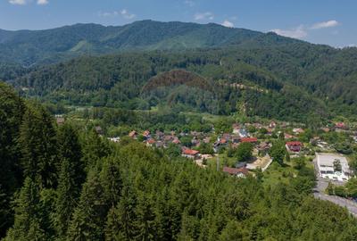 TTeren intravilan, 3500 mp, Dâmbu Morii - 12