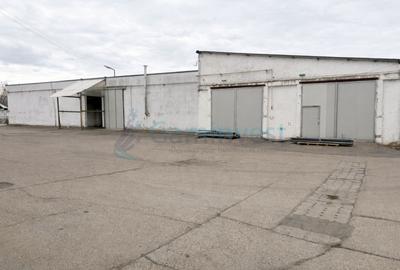 Hala industriala de inchiriat in Oradea, productie sau depozitare,Calea Borsului - 4
